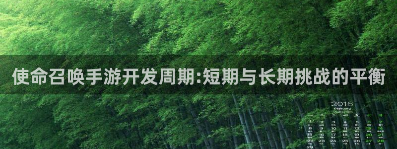 巅峰国际平台：使命召唤手游开发周期:短期与长期挑战的平衡
