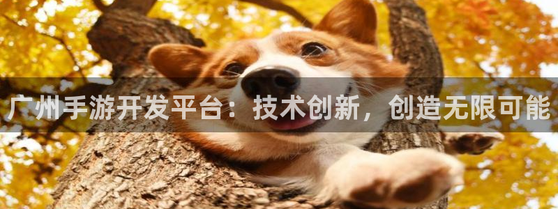 巅峰国际下载：广州手游开发平台：技术创新，创造无限可能