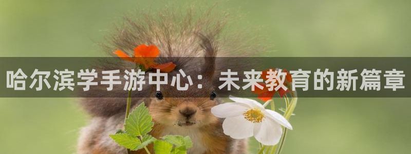 巅峰国际首页：哈尔滨学手游中心：未来教育的新篇章