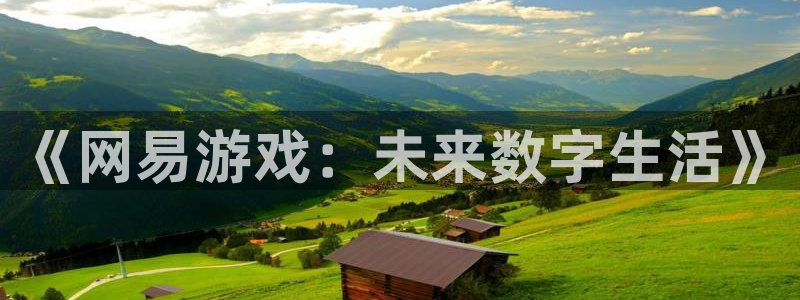巅峰国际注册：《网易游戏：未来数字生活》