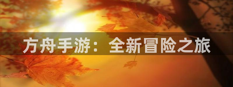 巅峰国际：方舟手游：全新冒险之旅