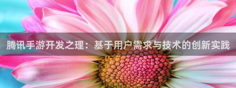 巅峰国际下载：腾讯手游开发之理：基于用户需求与技术的创新实践