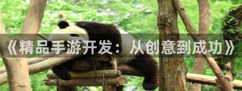 巅峰国际登录：《精品手游开发：从创意到成功》
