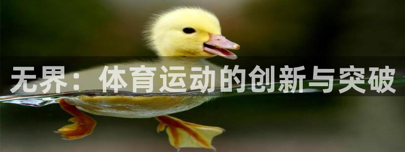 哈哈体育十年