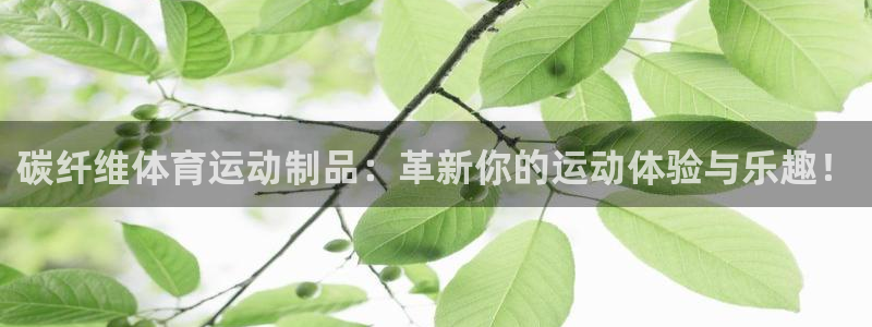哈哈体育下载：碳纤维体育运动制品：革新你的运动体验与乐趣！