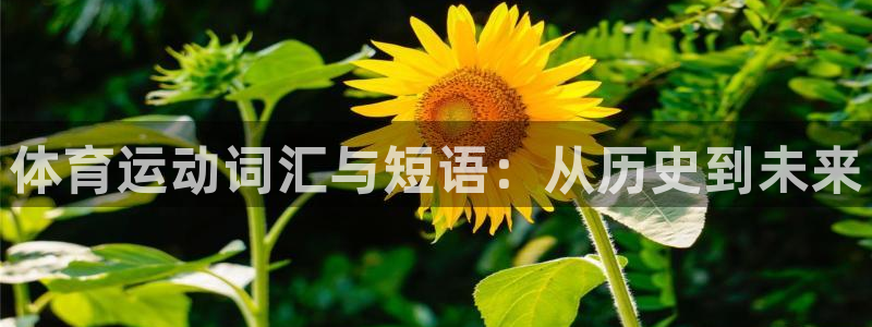 哈哈体育：体育运动词汇与短语：从历史到未来