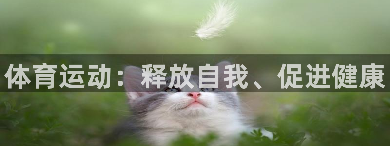 哈哈体育：体育运动：释放自我、促进健康