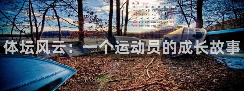 哈哈体育：体坛风云：一个运动员的成长故事