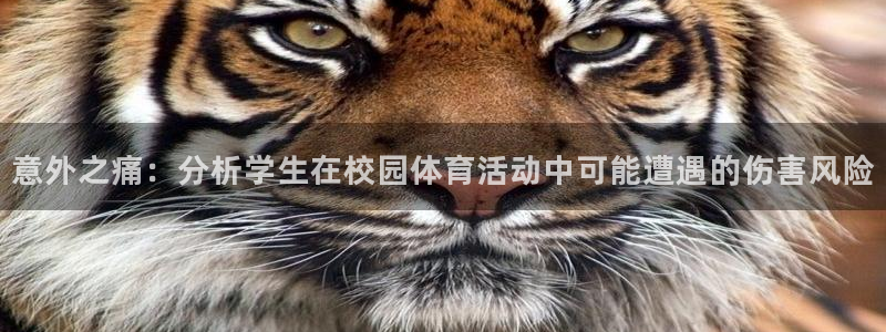 哈哈体育十年：意外之痛：分析学生在校园体育活动中可能遭遇的伤害风险