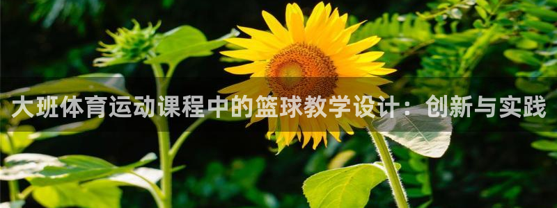 哈哈体育：大班体育运动课程中的篮球教学设计：创新与实践